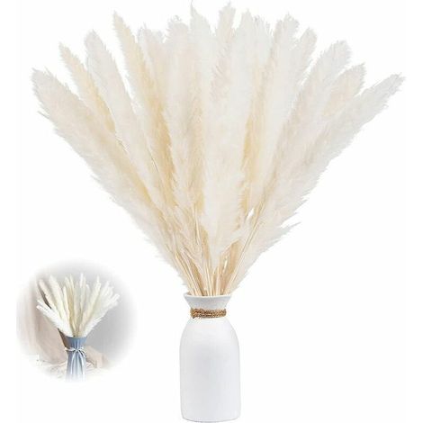 Bravix Lot De 30 Herbe De Pampa Séchée Vases De Fleurs Artificielles Séchées De 60 Cm, Décoration D'Herbe De Pampa Et Fleurs Séchées, Herbe De Pampa Naturelle, Herbe De Pampa Séchée, Roseau Séché - Bl