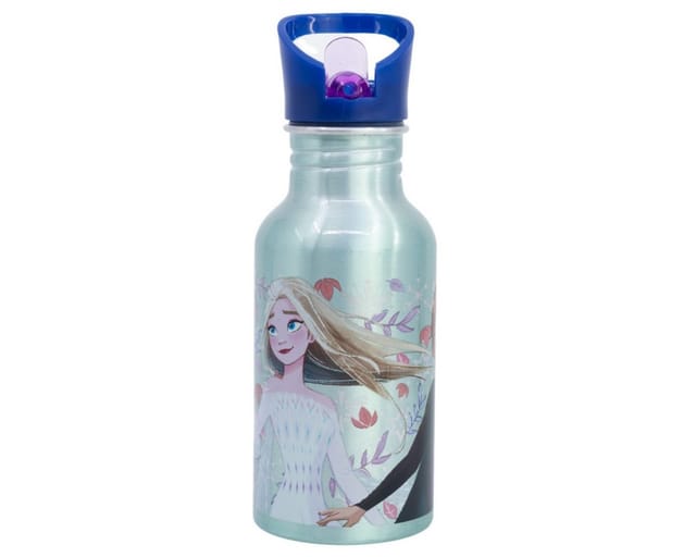 Euromic FROZEN ALU bottle sipper 545 ml