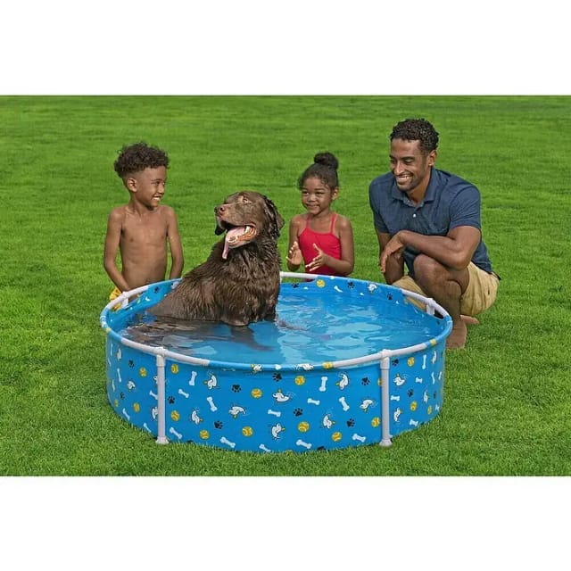 Bestway Pet Pool Fetchin' Fun 122cm