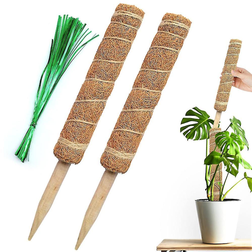 Set Mit 2 X 30 Cm Schaumstoff-pflanzenstützen Für Kletterpflanzen