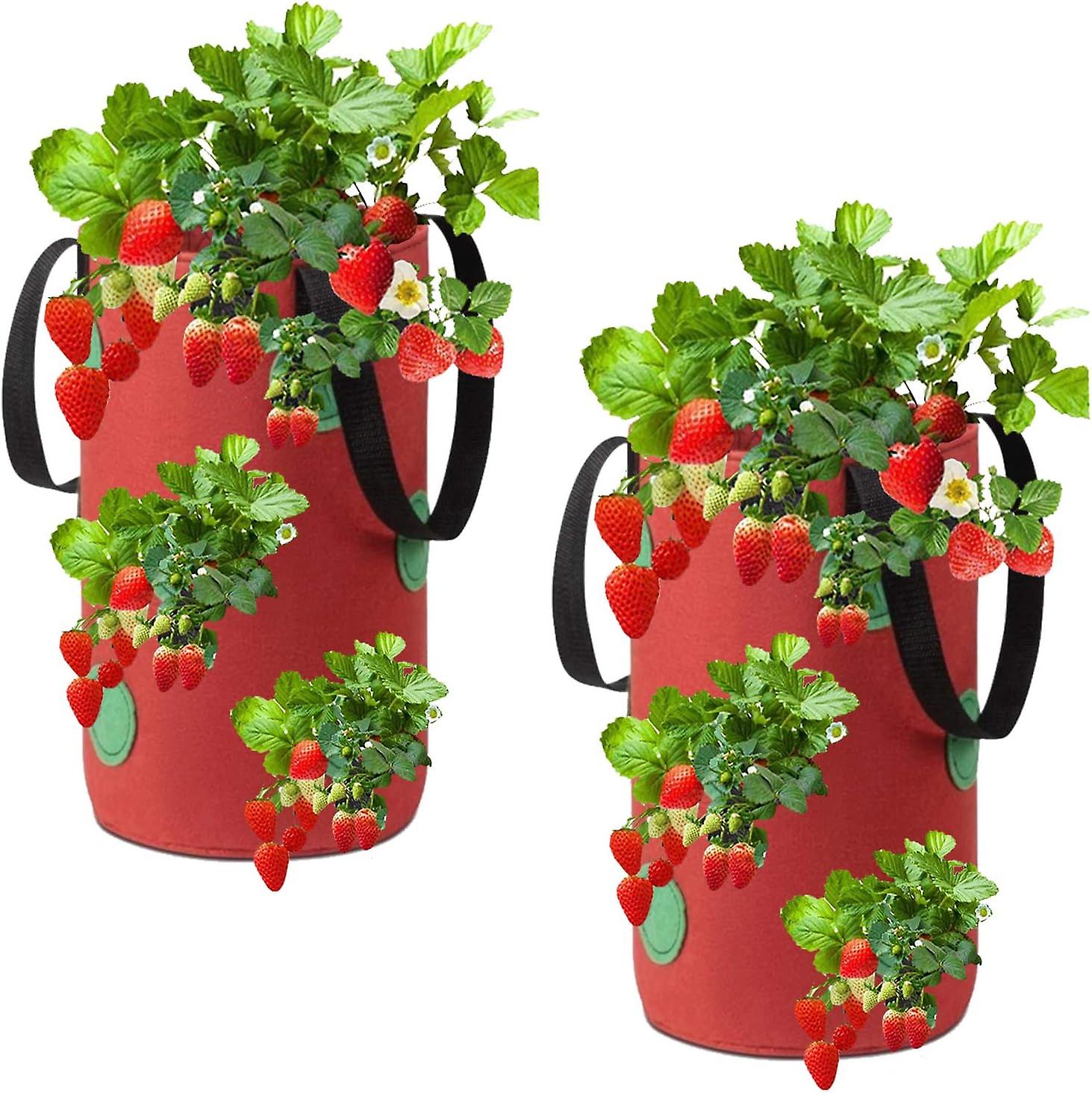 Set Mit 2 Roten, Hängenden Pflanzsäcken Aus Vliesstoff Für Erdbeeren, 20 X 35 Cm, Mit 12 Löchern Zum Anbau Von Erdbeeren, Kräutern Und Blumen.