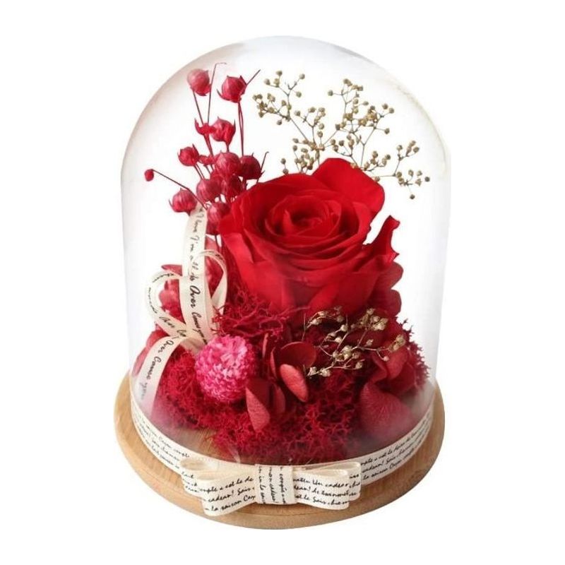 Ewige Rose Unter Glaskuppel – Naturrot – Geschenk Für Frauen – Valentinstag, Muttertag