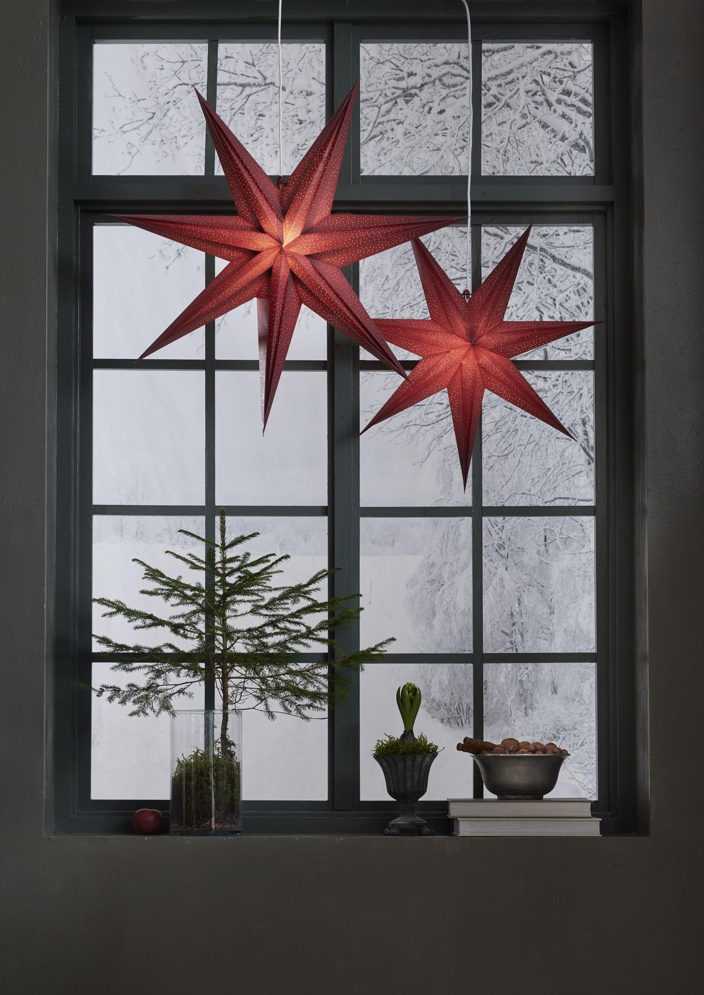 Papierstern "holly