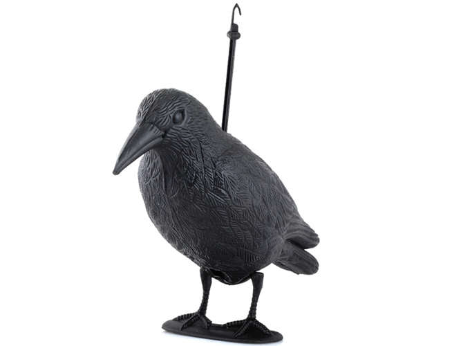 Vogelabwehr - Rabe