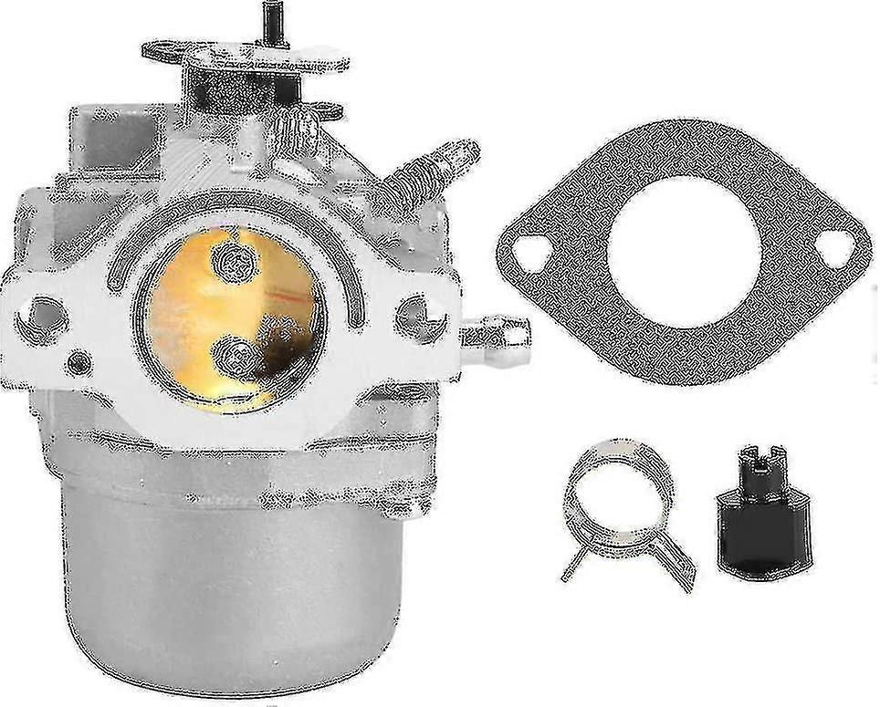 Vergaser-ersatzteile Für Gartengeräte, Passend Für Briggs & Stratton 799728 498027 12 Ps 12,5 Ps - Ssxjv