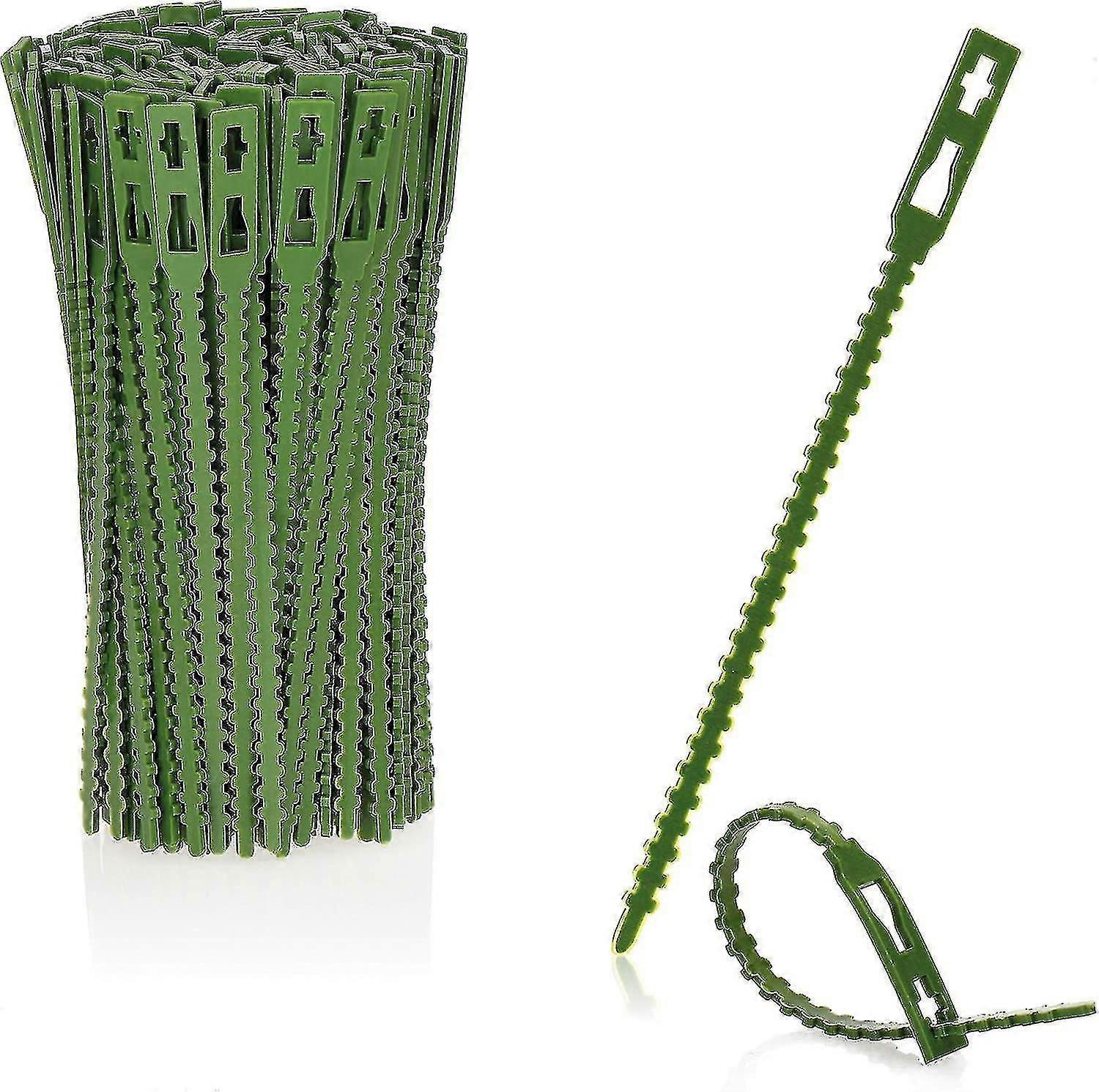 200x Grüner Kunststoff-pflanzenbinder - Stabilisieren