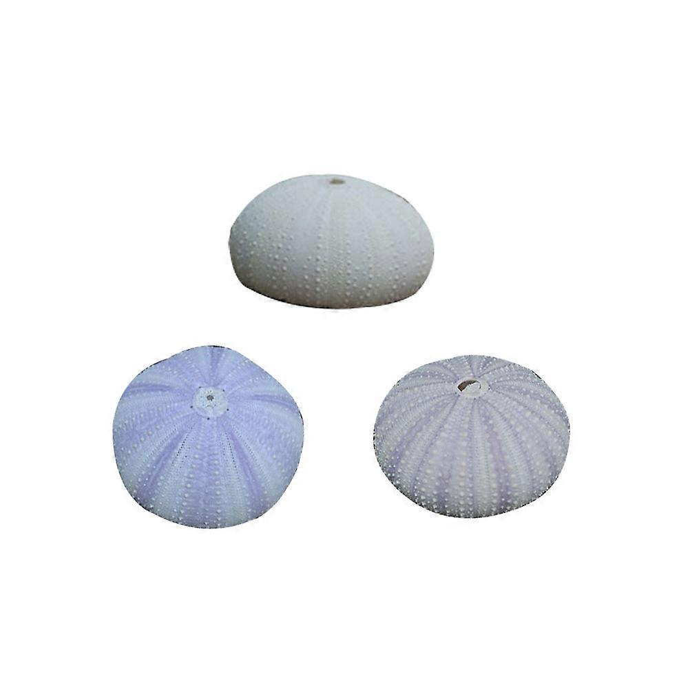Stück Natürliche, Getrocknete Seeigelschalen, Muschelschalen, Kreative Behälter Für Luftpflanzen, Diy-handarbeit, Mini-pflanztöpfe, Tischdekoration (zufällige Farbe)-5.00x5.00x3.20cm