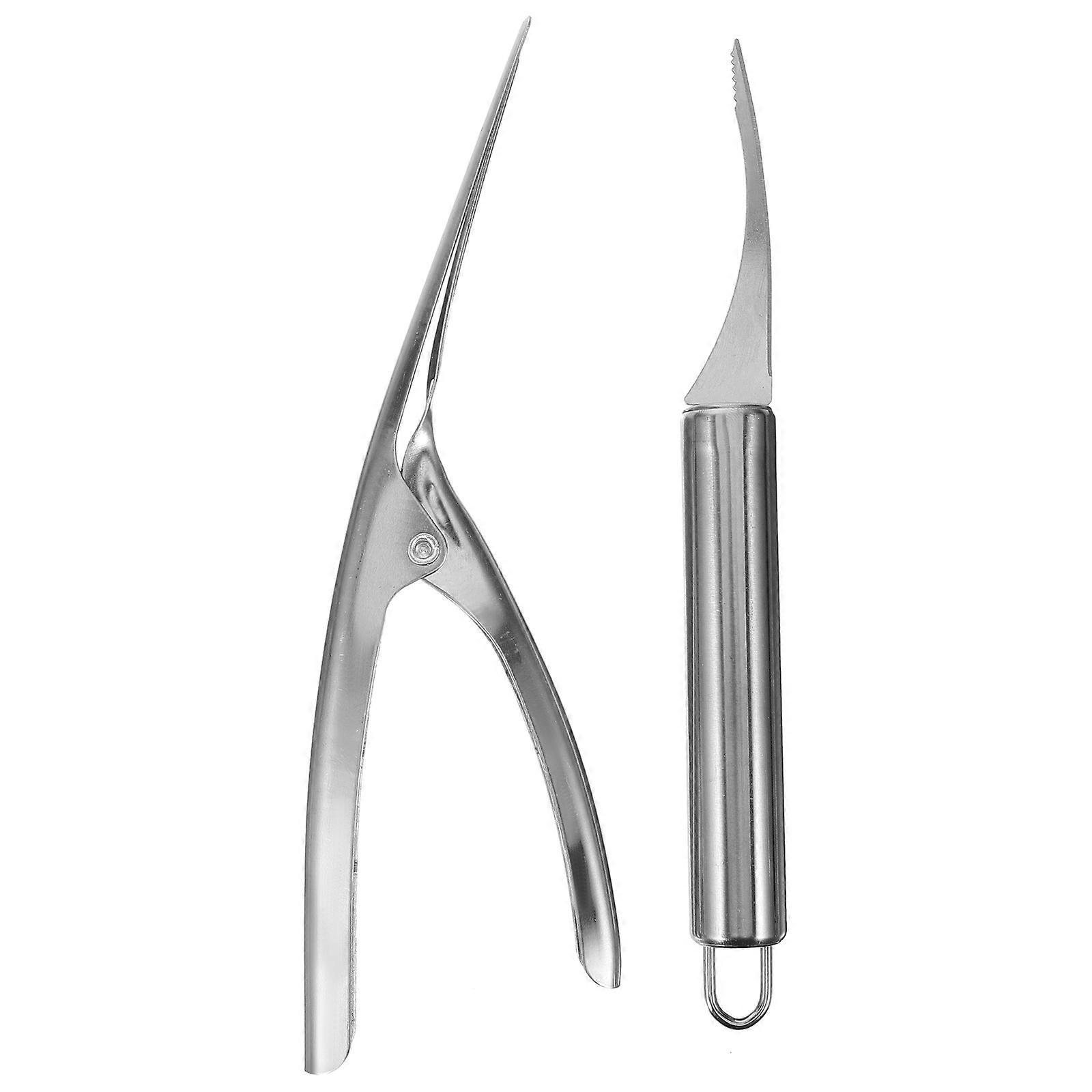 Set Praktischer Garnelenschäler, Tragbarer Fischschupper Für Den Haushalt Mit Zange-23.50x2.50x2.00cm-silver