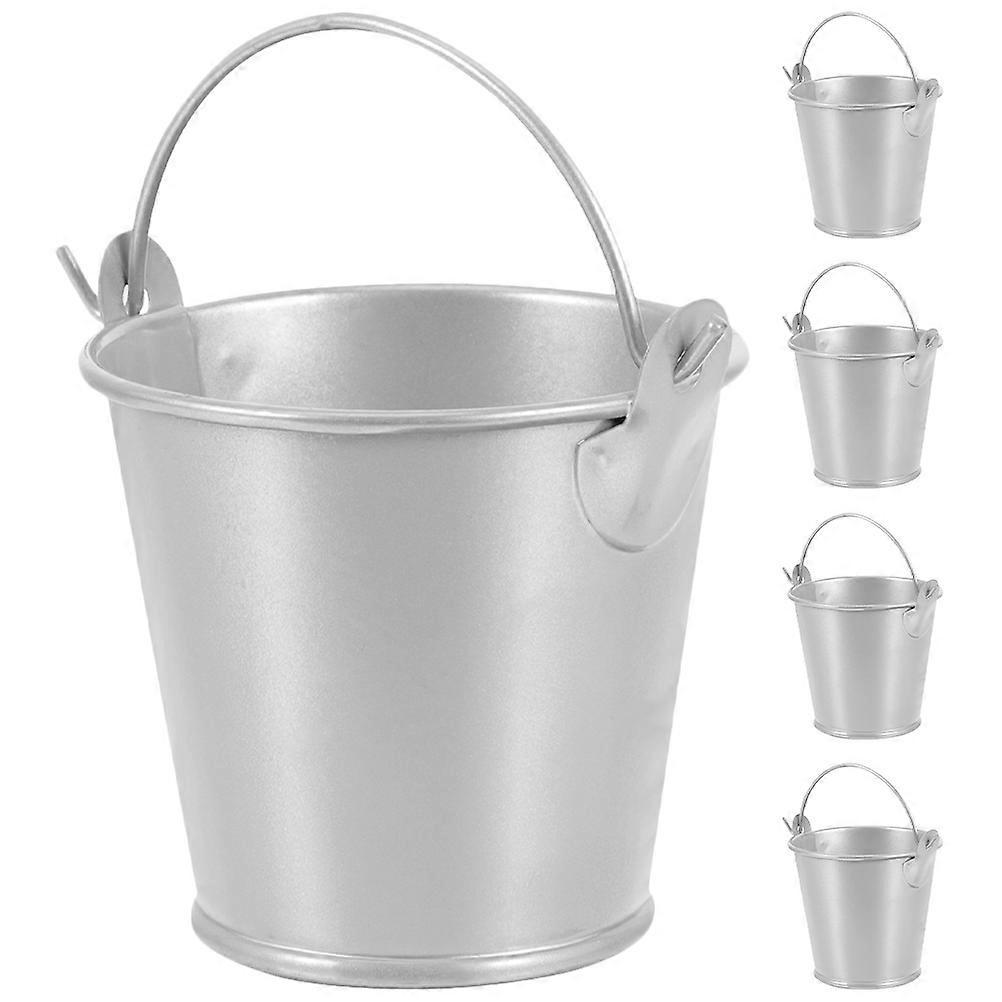 Kleine Metalleimer Mit Griffen, Mini-zinneimer Für Gastgeschenke, Sukkulenten-6.00x6.00x5.20cm-silver
