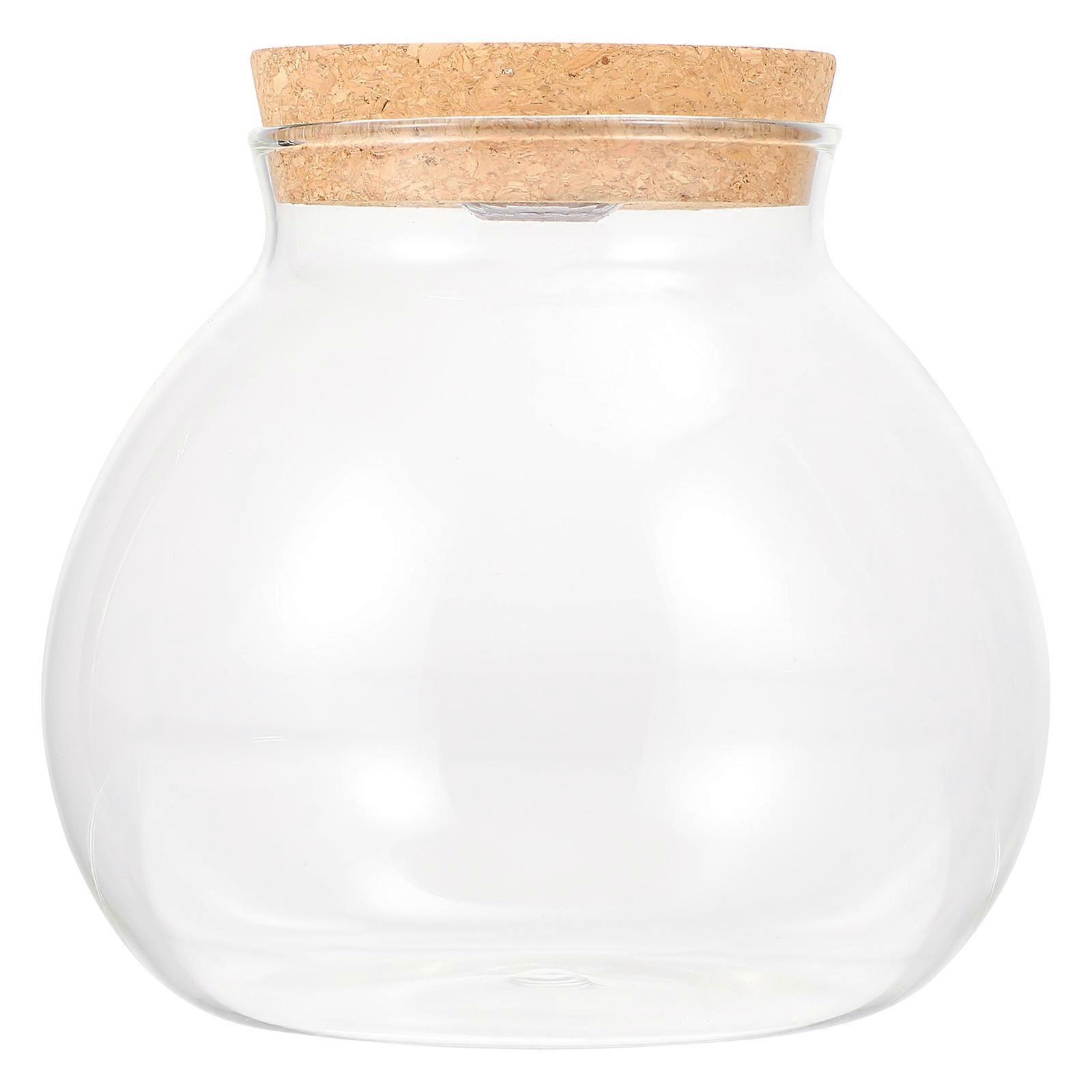 Diy-landschafts-terrarium-flasche, Terrariumbehälter, Glas-landschaftsflasche-14.00x13.00x13.00cm-white
