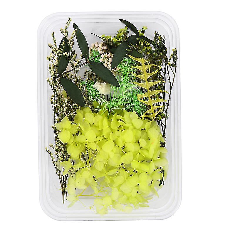 1 Set Trockenblumen-accessoires
