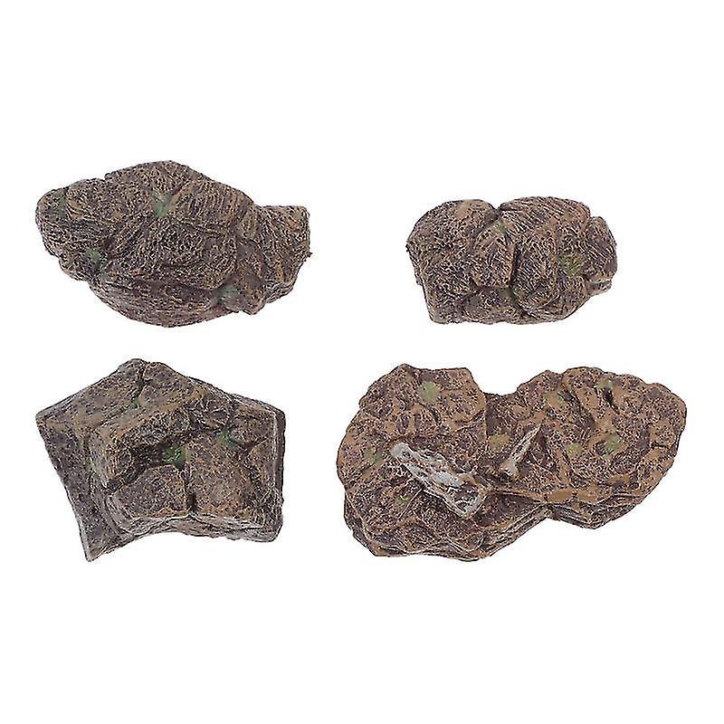 4-teiliges Fossilien-steinmodell