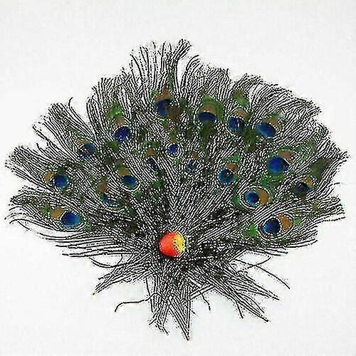 100 Stück Natürliche Pfauenschwanzfedern (10-12 Zoll) Für Diy-blumensträuße Und Dekorationen-10pcs