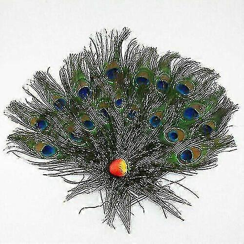 100 Stück Natürliche Pfauenschwanzfedern (10-12 Zoll) Für Diy-blumensträuße Und Dekorationen-20pcs