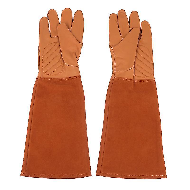 Schutzhülle Aus Polyester Zum Schutz