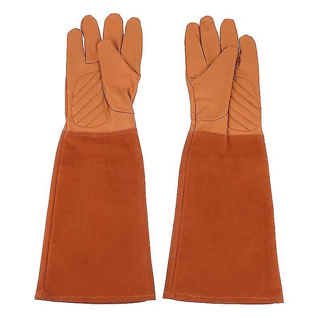 Schutzhülle Aus Polyester Zum Schutz