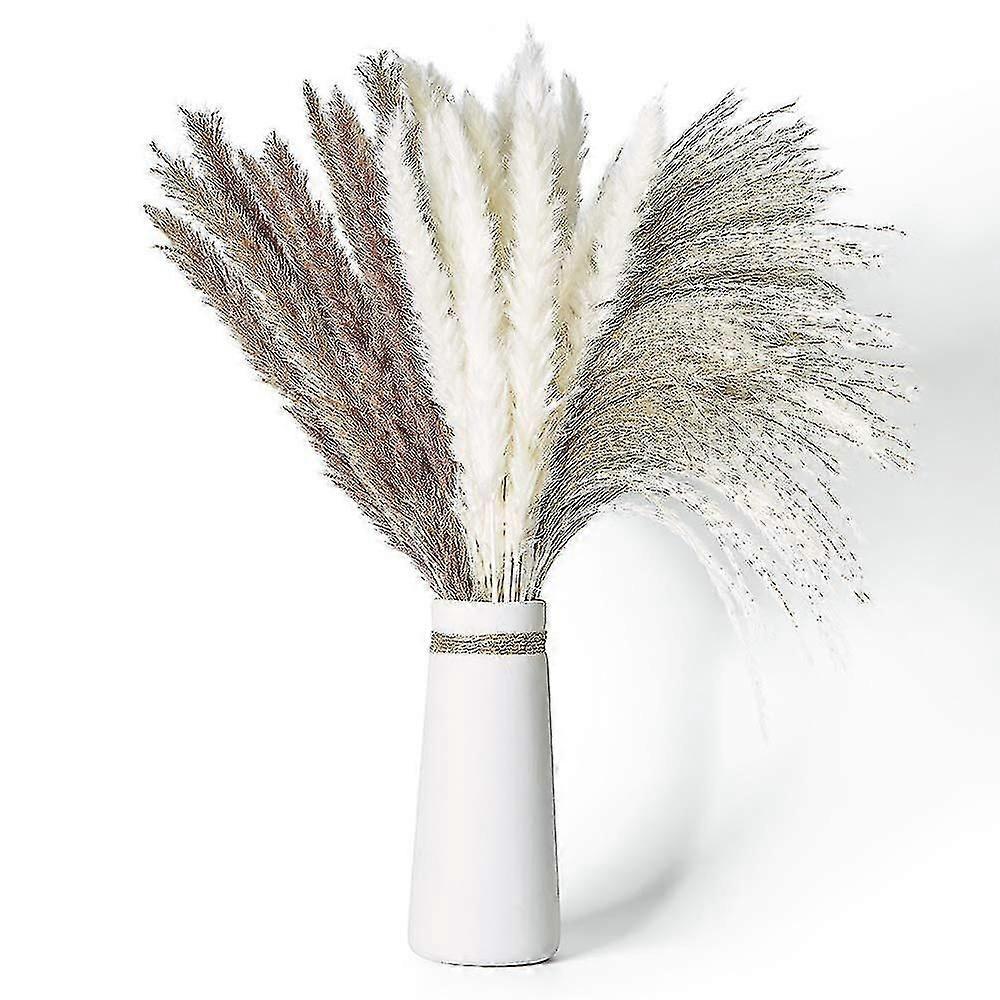 70 Stück Natürliches, Getrocknetes Pampasgras In 3 Verschiedenen Farben – Flauschig Und Schwingend – Ideal Für Diy-boho-blumenarrangements, Hochzeitsdekorationen Und Wohnaccessoires.