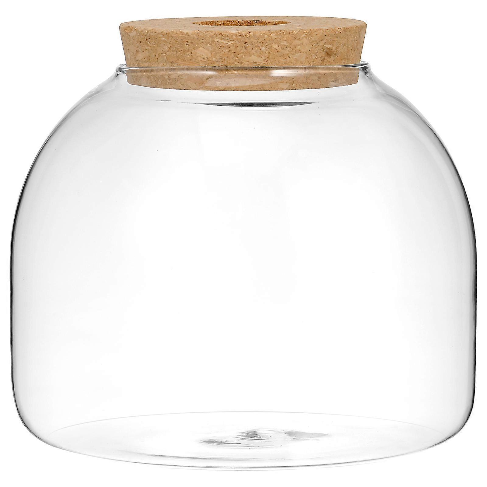 Terrarium-glas Mit Holzverschluss, Mikro-landschaftsbehälter Für Hydrokulturpflanzen-15.00x15.00x13.00cm-transparent