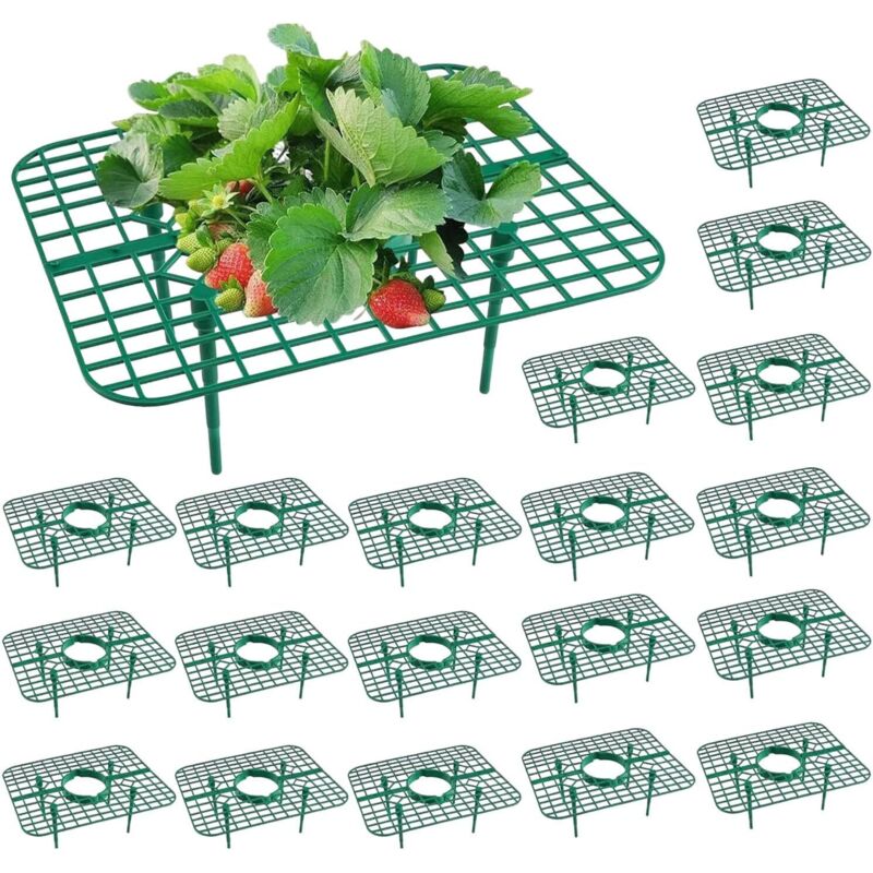 Set Mit 10 Quadratischen Erdbeerstützen, Erdbeerständern, Beerenstützen Für Den Garten, Pflanzenstützen, Erdbeerständern, Sauberen Beerenständern
