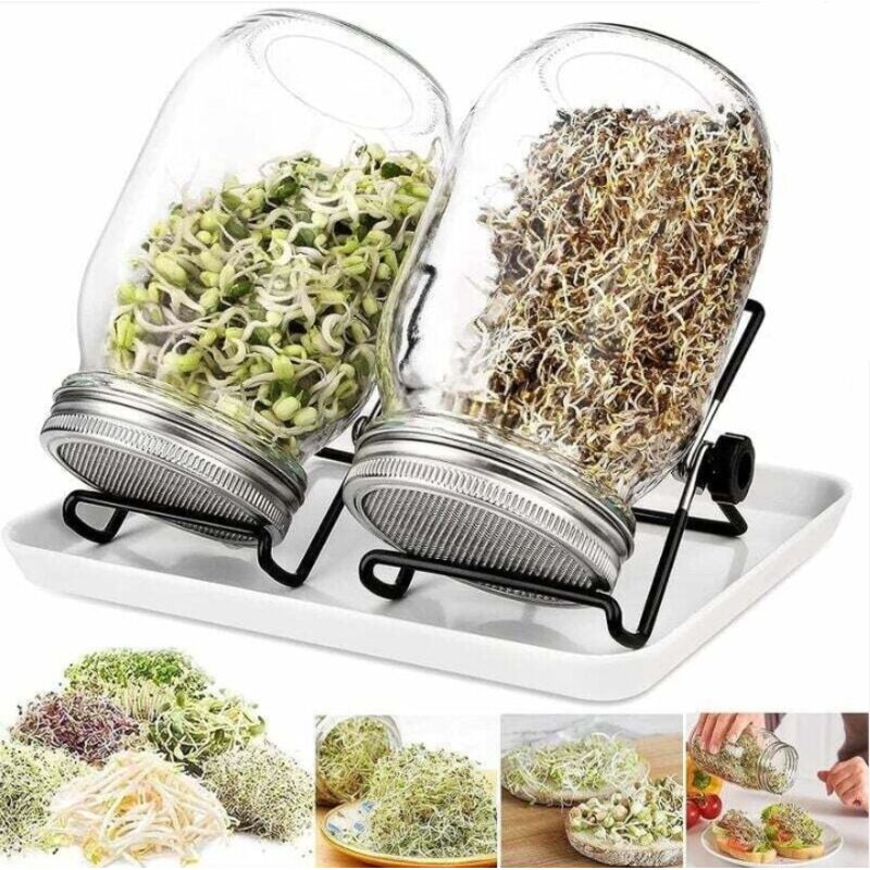 2-teiliges Bio-sprossen-set – Set Mit 2 Keimgläsern – Enthält Keimgläser, Anzuchtschale Und Saatgut – Inklusive Anleitung Und Video-tutorial
