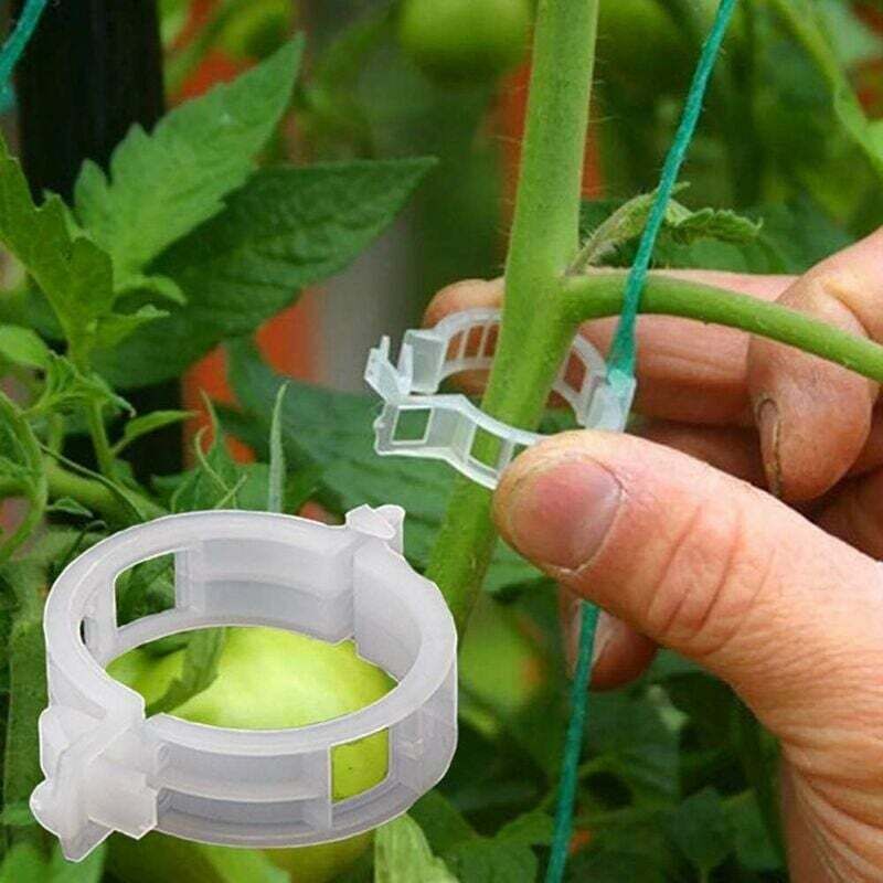 100 Pflanzenstützclips Für Tomatenpflanzen, Zum Verbinden Von Pflanzen, Schnüren, Ranken Und Käfigen, Zum Befestigen Von Gemüsepflanzen Und Zum Veredeln Von Pflanzen.
