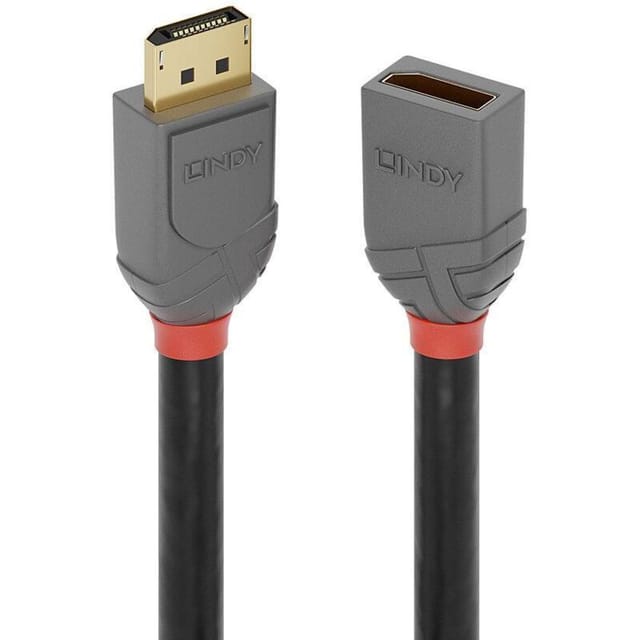 Lindy Anthra Line - DisplayPort extension cable - DisplayPort to DisplayPort - 50 cm