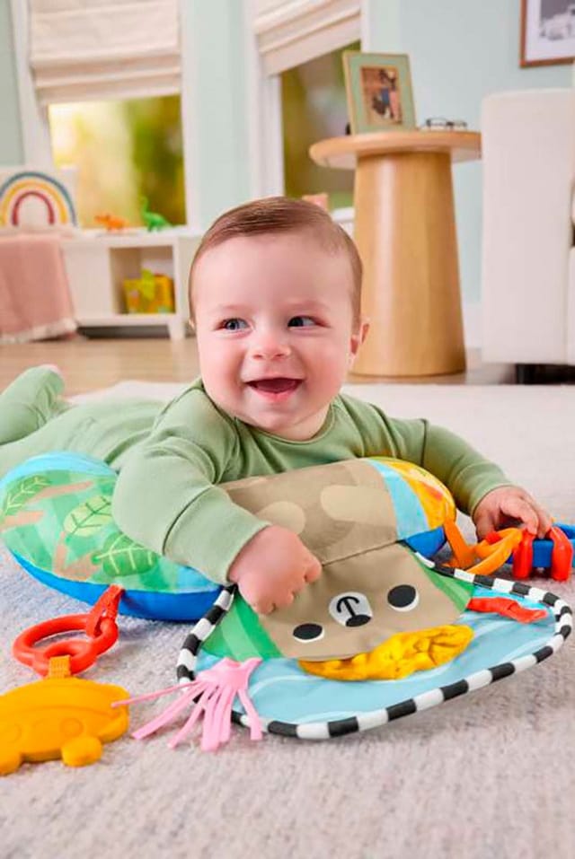Fisher Price Fisher-Price JHB44 learning toy