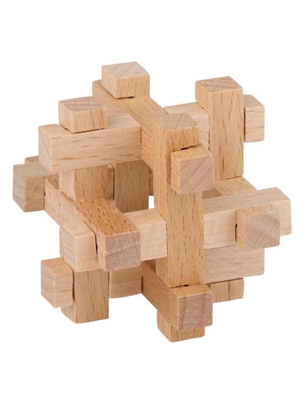 Lifetime Wooden Brain Puzzle