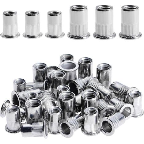 Bravix 100 Pièces Rivet Ecrou M6 M8, Écrous À Rivets En Acier Inox, Tête Plate Ecrou Insert Assortiment Kit Pour Bois Meubles, Ecrou M6 Ecrou M8, Chaque Taille 50 Pièces