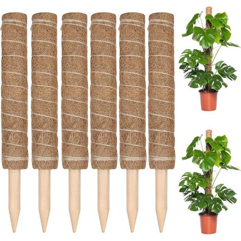 Bravix Lot De 6 Tuteur Plante Grimpante, Tuteur Coco 30cm, Bâton De Coco Tuteur Plante Pour Plantes Grimpantes Extension Avec