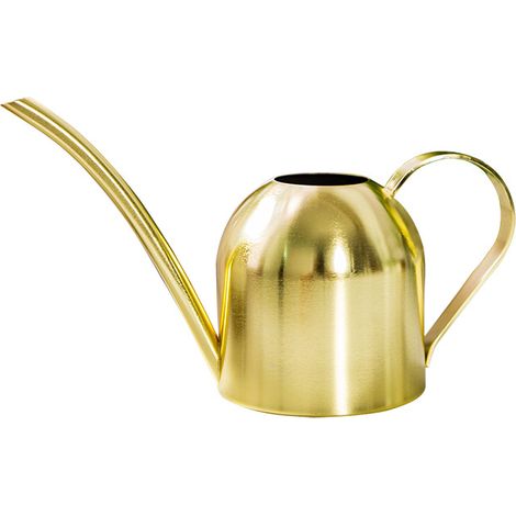 Bravix 500ml Arrosoir En Acier Inoxydable Mini Style Moderne Petit Pot De Fleur Arrosoir Long Bec Jardin Arrosoir Arrosoir Pour Plantes Intérieur Succulent Bonsaï