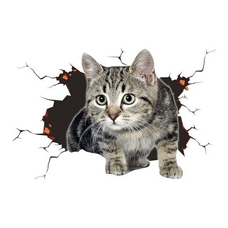 Bravix Stickers De Voiture 3d Stickers De Chat Mignon Stickers De Mur À Thème Animalier Stickers De Voiture Crackers De Voiture Stickers De Voiture Décoration De Voiture Stickers Personnalisés