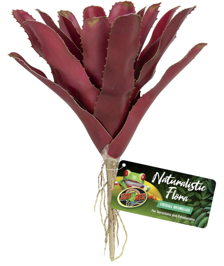 Naturalistic Flora Fireball Bromeliad Decorazione Per Terrari