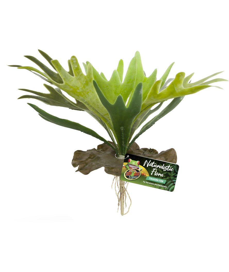 Naturalistic Flora Tillandsia Air Plant Decorazione Artificiale Per Terrari
