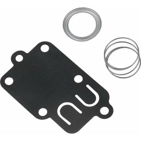 Kit De Réparation De Carburateur Pour Briggs Stratton 270026 272538 272538s 272637 4157 5021 3 Thru 5 Hp Motoculteur
