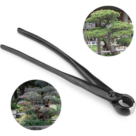 Pince À Bonsaï Concave Coupe Droite - Acier Inoxydabl