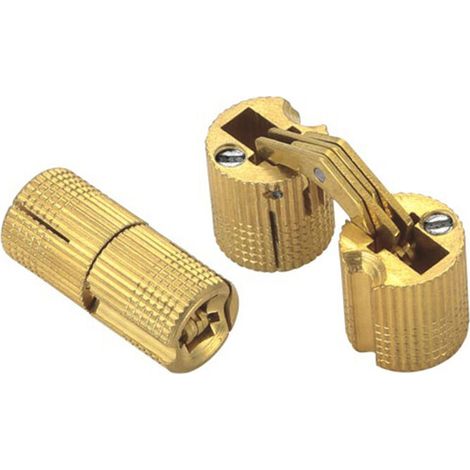 10 Pcs Charnières Cylindriques En Laiton,caché Charnière Invisible Tonneau Pour Diy Porte En Bois Armoire Caravane,8 Mm