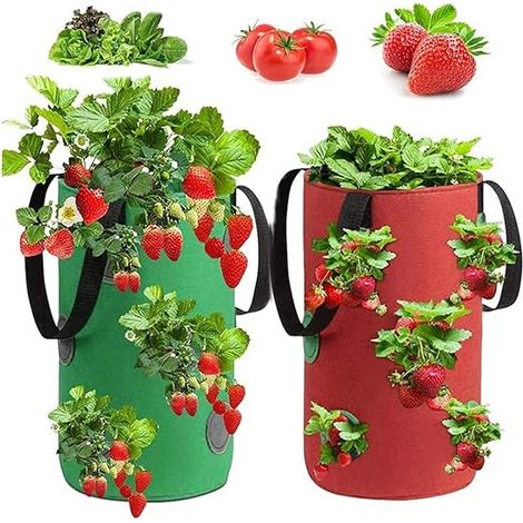 2 Pièces Sac De Plantation Fraises, Sac Culture Fraises, Sac De Culture De Fraises En Non Tissé, Sac À Fraisiers,pour Fraises, Herbes, Fleurs (3gallon, 20x35cm)