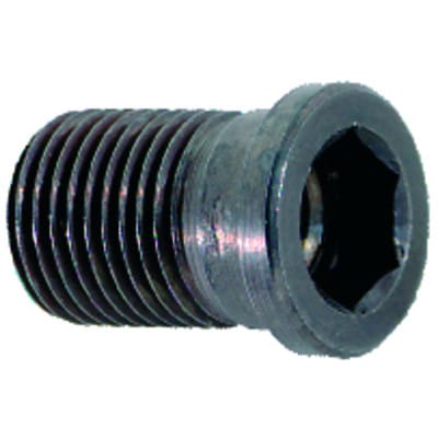 Gewindebuchse LT35