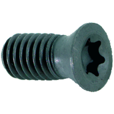 Spannschraube M2,5x6 T08