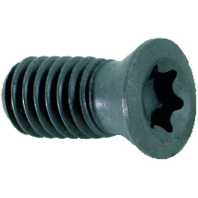 Spannschraube M2,5x5 T08