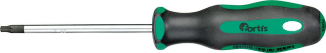Schraubendreher T25 x 100mm