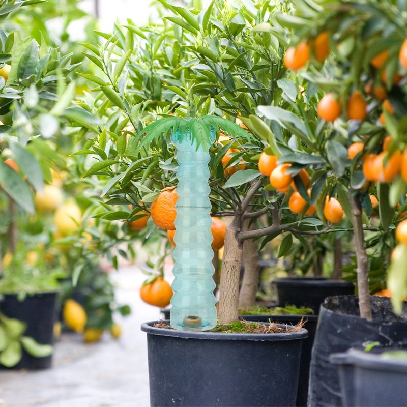 Automatischer Kokospalmen-pflanzensprenger 500ml Lila Großes Fassungsvermögen Langsame Bewässerung 8 Tage Ideal Für Urlaub Und Garten