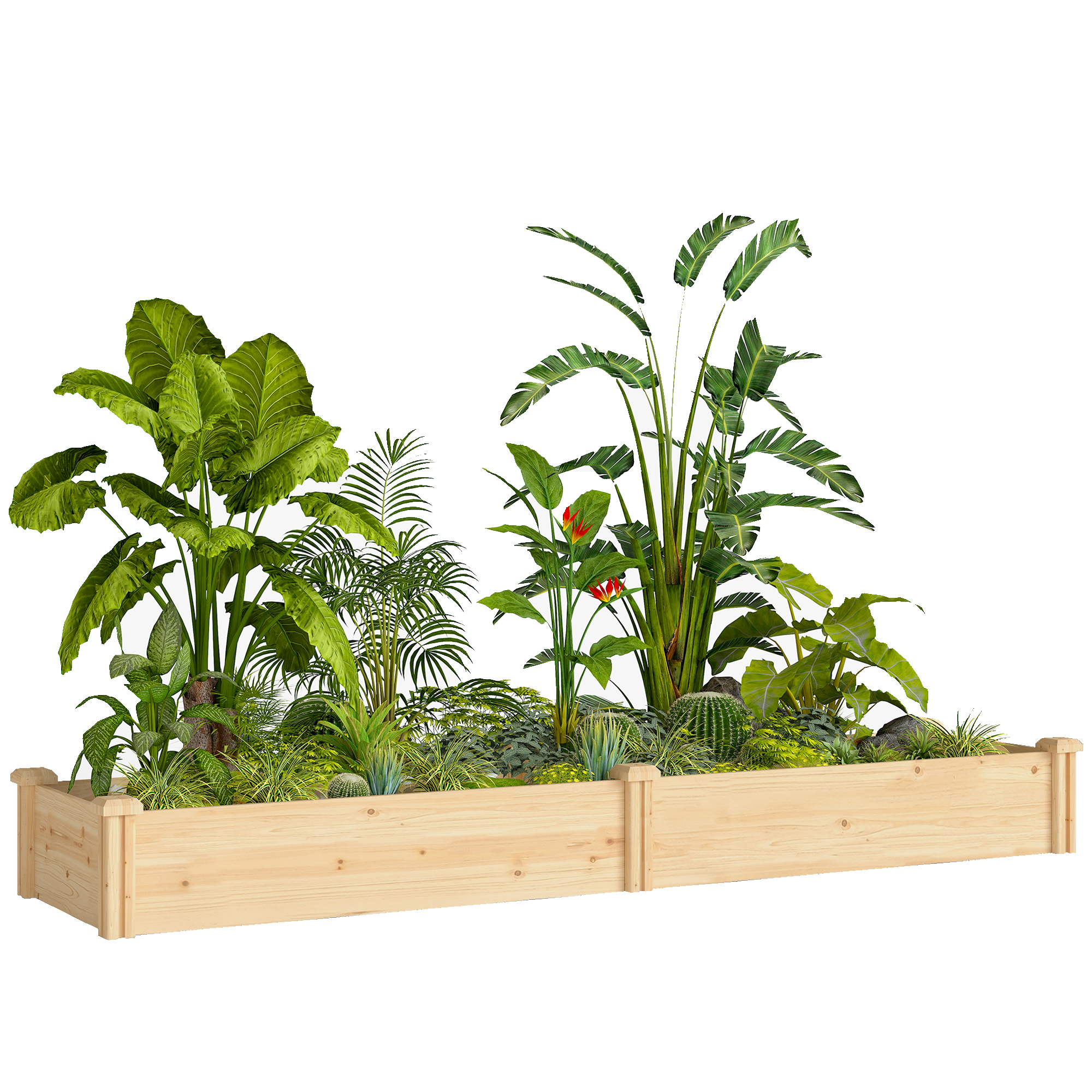 Erhöhtes Quadratisches Frühbeet Aus Naturholz Mit Trennwand, Offenem Boden, Maße 235 X 66 X 26 Cm.