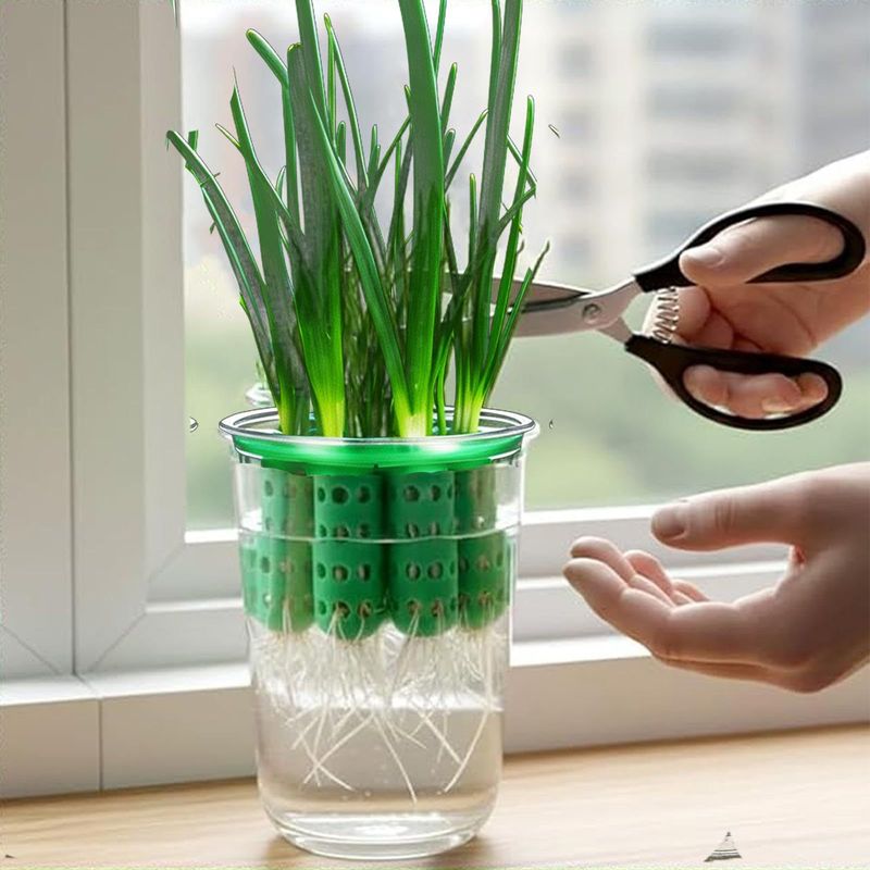 Hydroponische Pflanzenzucht, Transparente Gartengeräte Für Setzlinge, Geeignet Für Küchen, Wohnzimmer Und Terrassen.