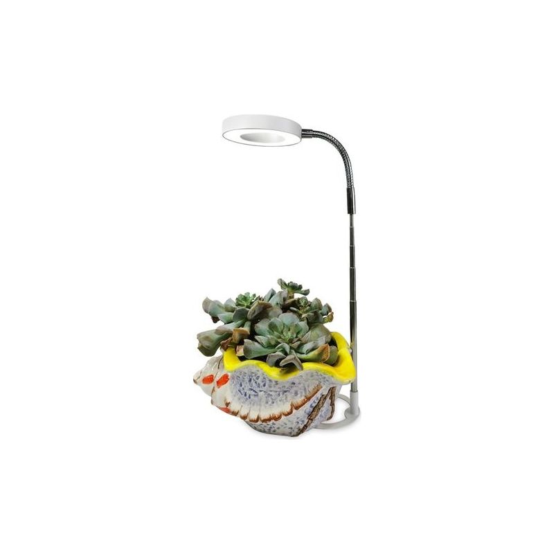Pflanzenlampe, Bodennah, Verstellbar Und Programmierbar, Mit Winkelring, Vollspektrum, Simuliert Sonnenlicht, Aufhelllicht Für Sukkulententöpfe