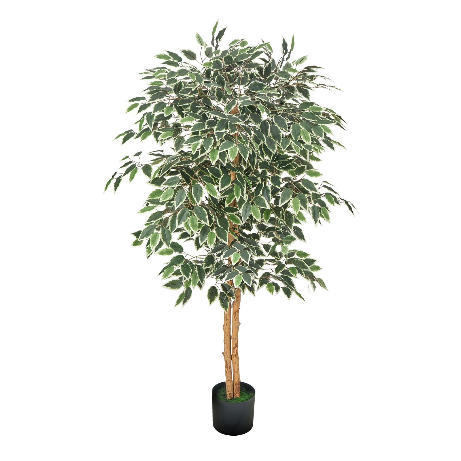 Künstlicher Ficus 150 Cm Mit Schwarzem Topf, Natürlichem Holzstamm Und Realistischen Grünen Blättern, Seidenbaum Für Den Innenbereich, Wohnzimmer, Büro Oder Dekorative Ecke.
