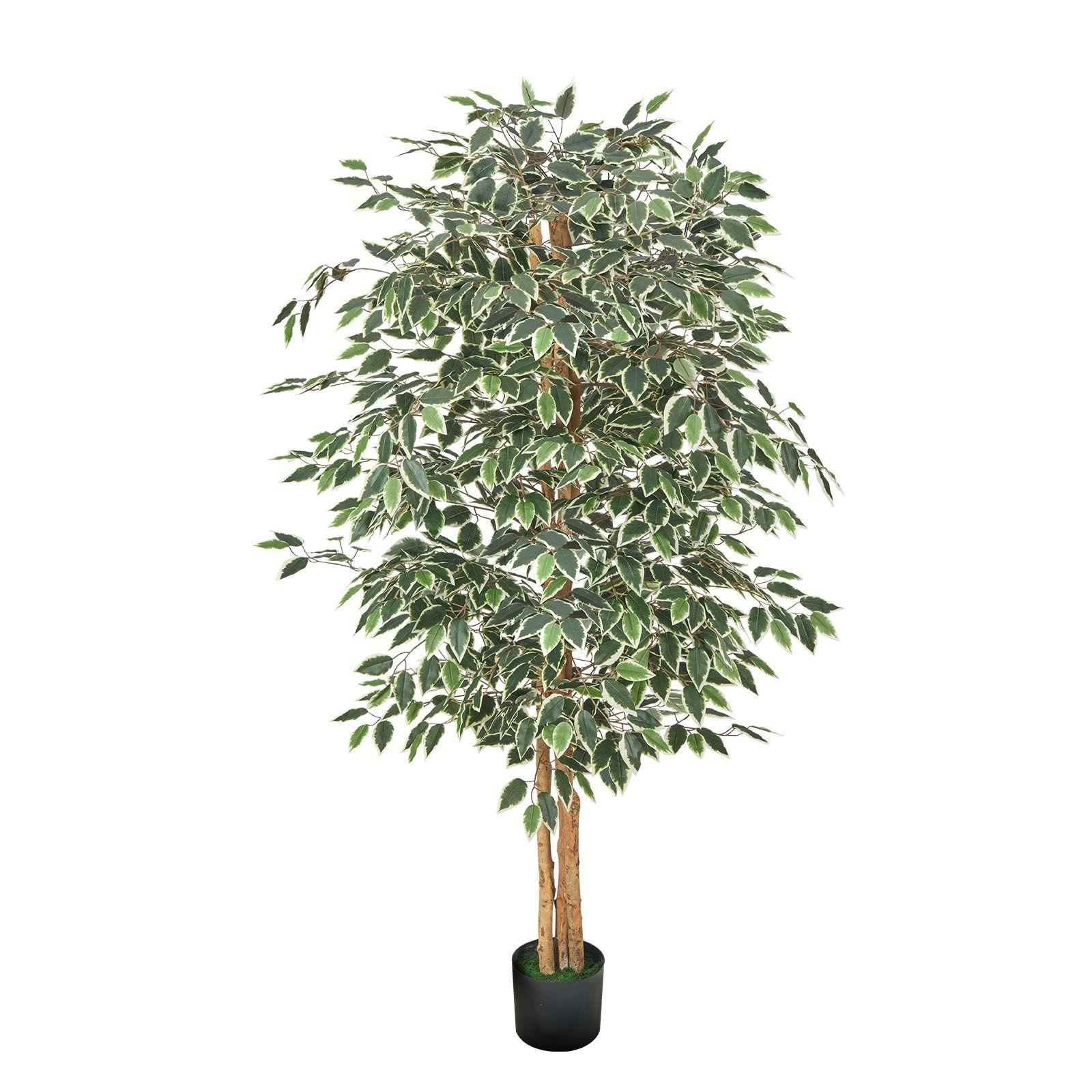 Künstlicher Ficus 180 Cm Mit Schwarzem Topf, Natürlichem Holzstamm Und Realistischen Grünen Blättern, Seidenbaum Für Den Innenbereich, Wohnzimmer, Büro Oder Dekorative Ecke.