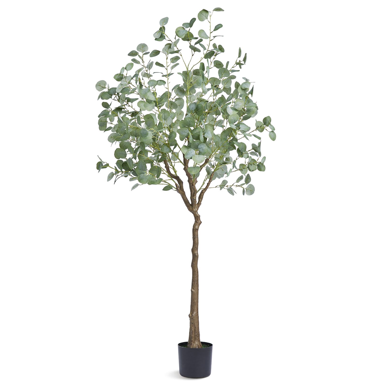 Künstlicher Eukalyptus 1,8 M, Realistische Grüne Pflanze, Stabiler Topf Mit Kippschutz, Strapazierfähiges Pe-material, Wartungsfrei, Innen-/außendekoration Für Zuhause Oder Büro.
