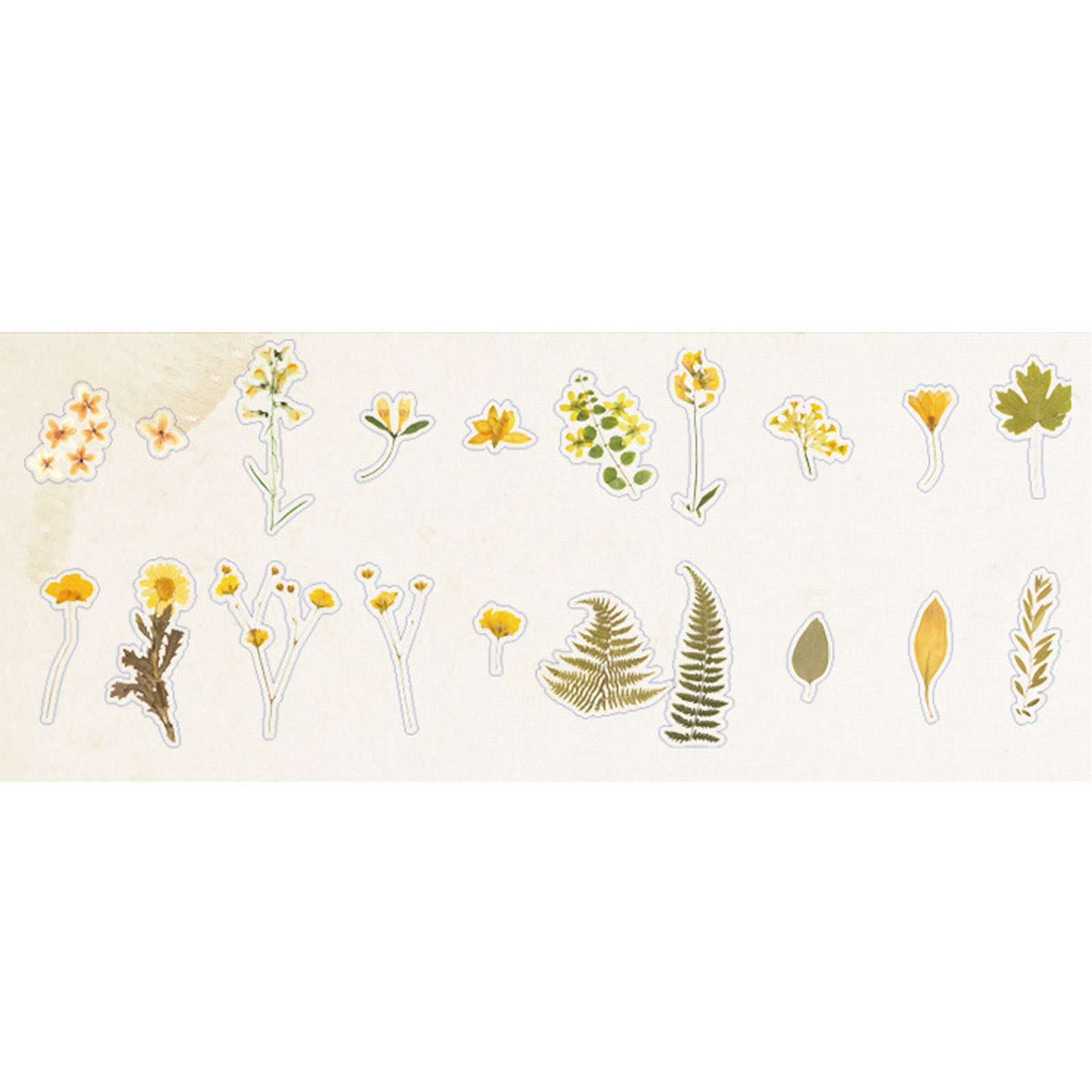 40 Stück Botanische Aufkleber Pet Multifunktionale Laub-blumen-ästhetik-aufkleber Für Handbücher Typ 1